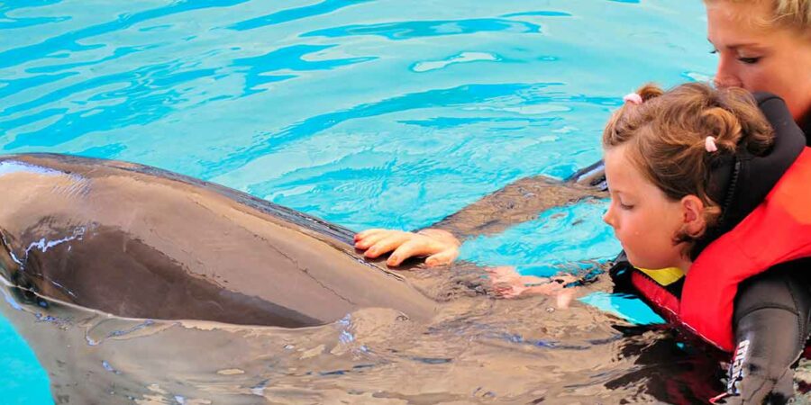 Kind in Schwimmweste und Trainerin schwimmen mit einem Delfin